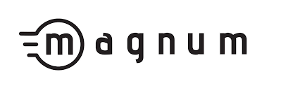 Magnum Electric Bike Mfg
