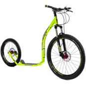 Image result for crussis